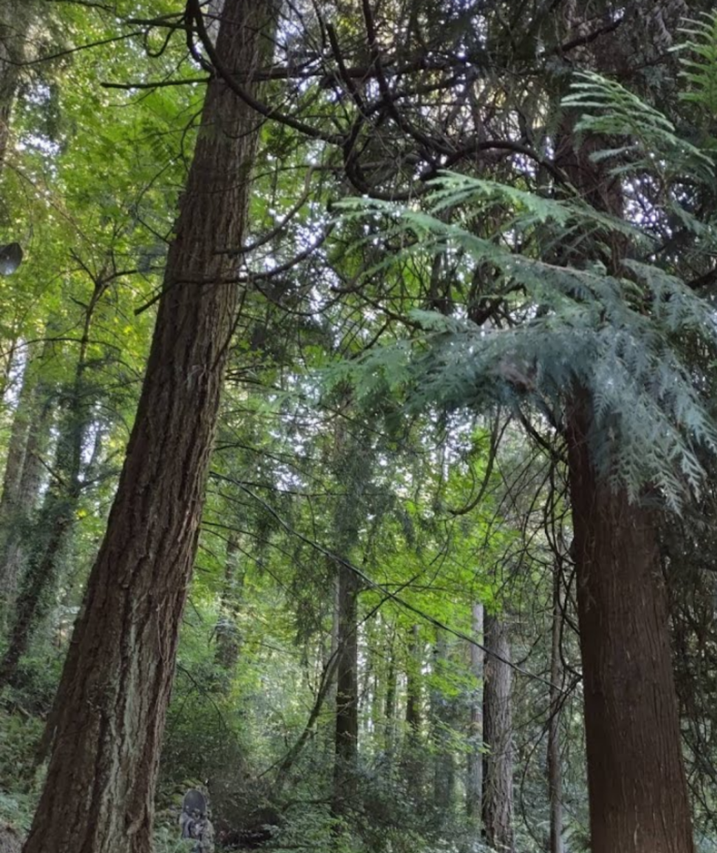 I loved their friendship, the true definition of a great friend