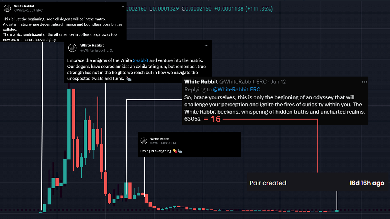 Follow the White Rabbit. In the vast realm of cryptocurrencies… | by ...