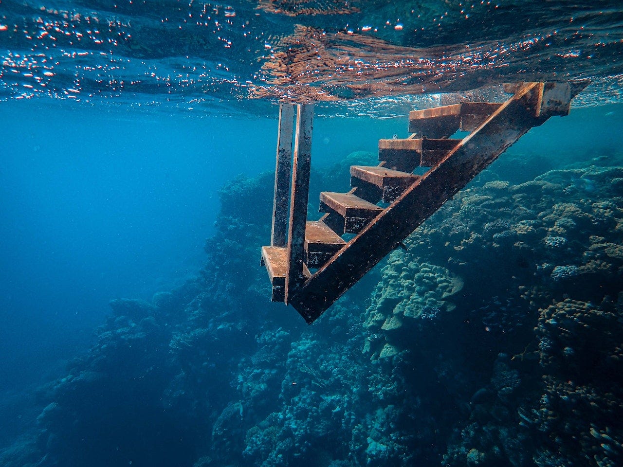 Thalassophobia. Follow the anchor as it drops, from the… | by Typewritten Pages | Medium