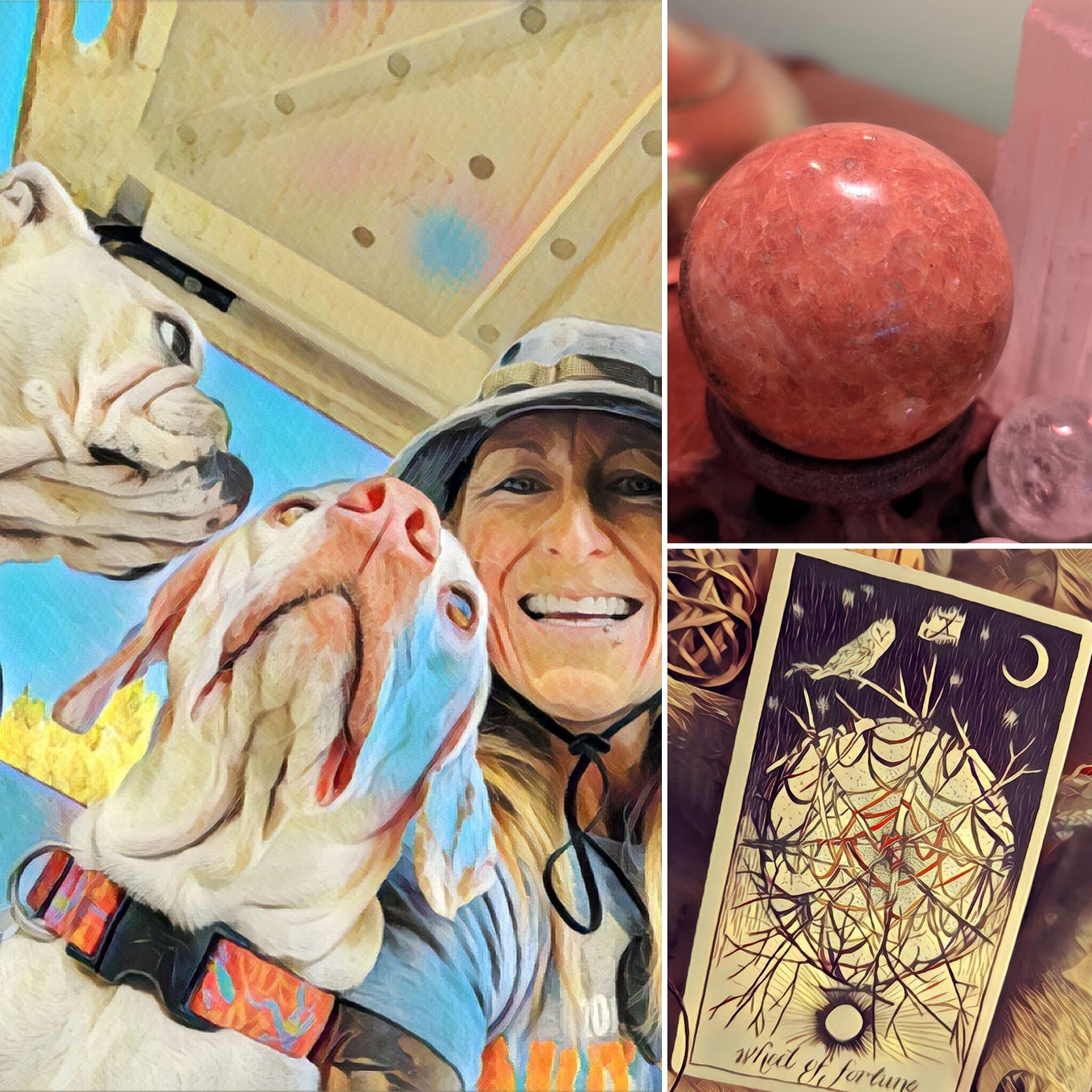 The Daily Dose Of Dirt April 27 2022 By The Craft And Crone Medium