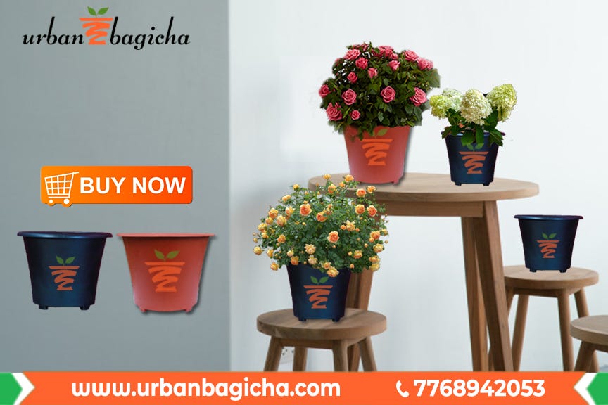 Go Green With Urban Bagicha’s Plastic Pots In Pune , India by Urban