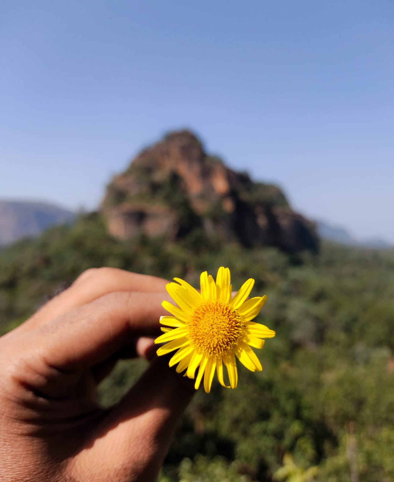 What are the chances of a tsunami in california