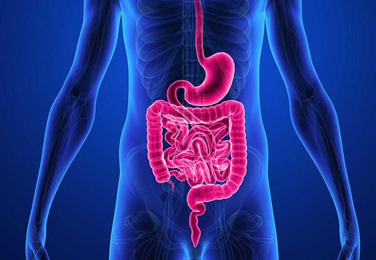 Do You Have A Leaky Gut?. Do you have leaky gut syndrome? Some…, by Dr.  Peyton P. Berookim, MD