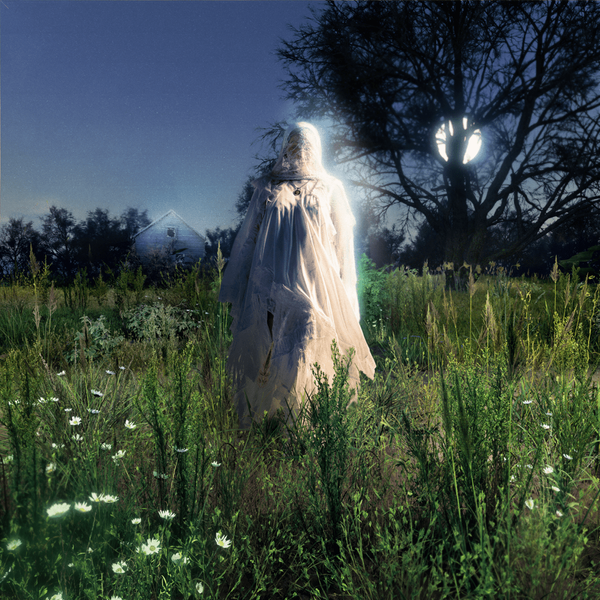 3 Best Memory Cards for Canon R5 Mark II by Alik Griffin Sep, 2024