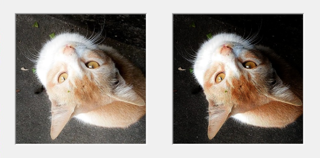 Feature Extraction and Classification in Hyperspectral Images | by ...