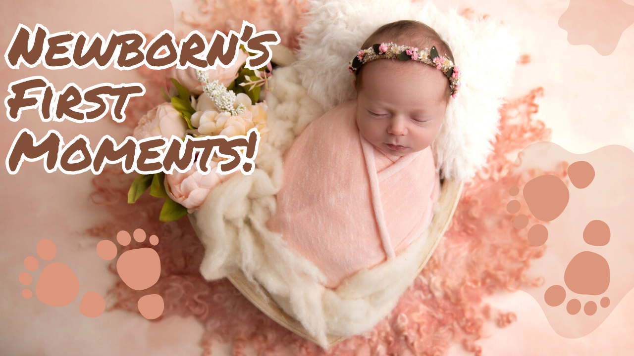 Understanding Baby Milestones What to Expect in the First Year by