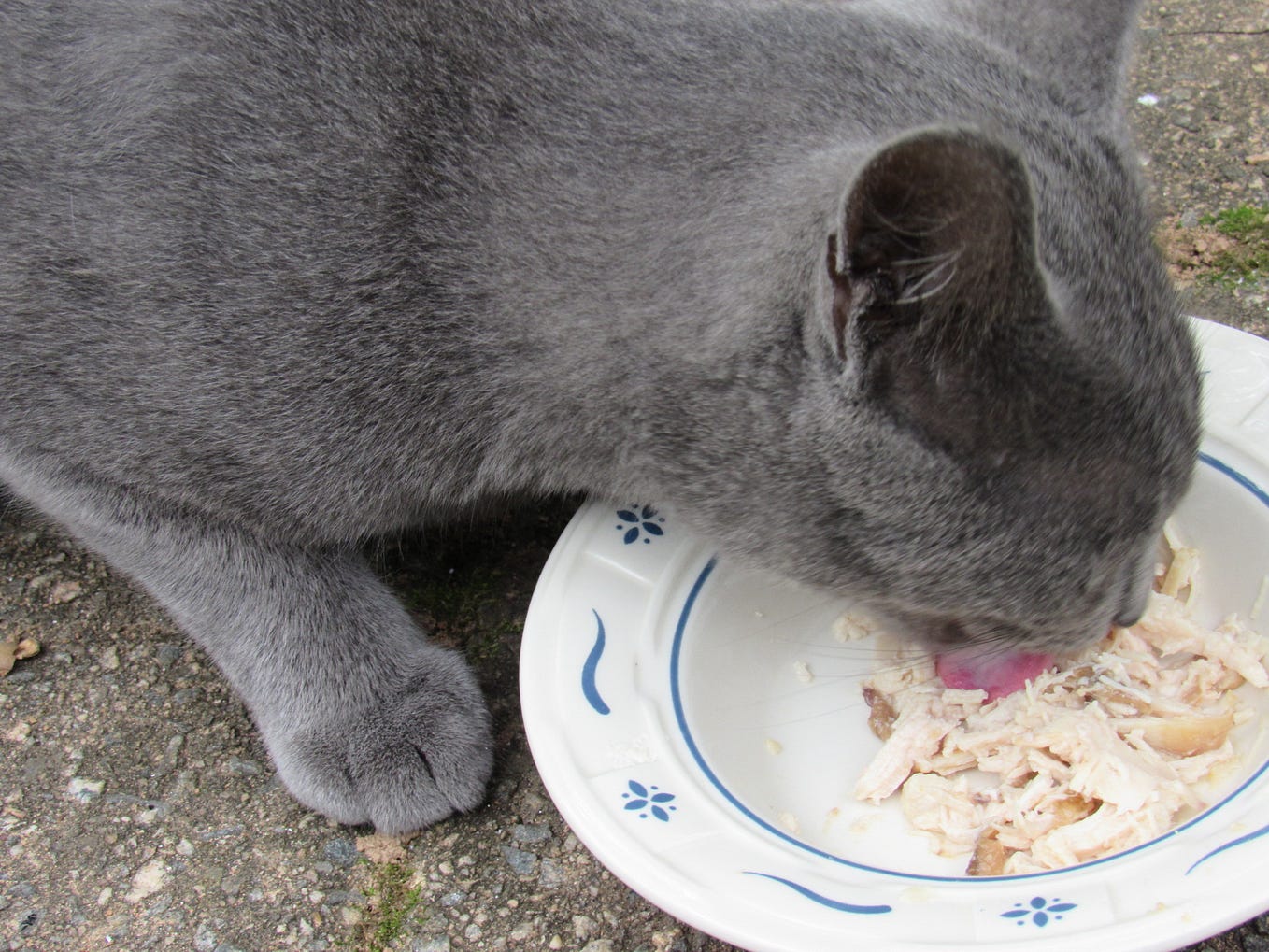 Why is Soup So Damn Good? Why Am I Getting Philosophical About Soup