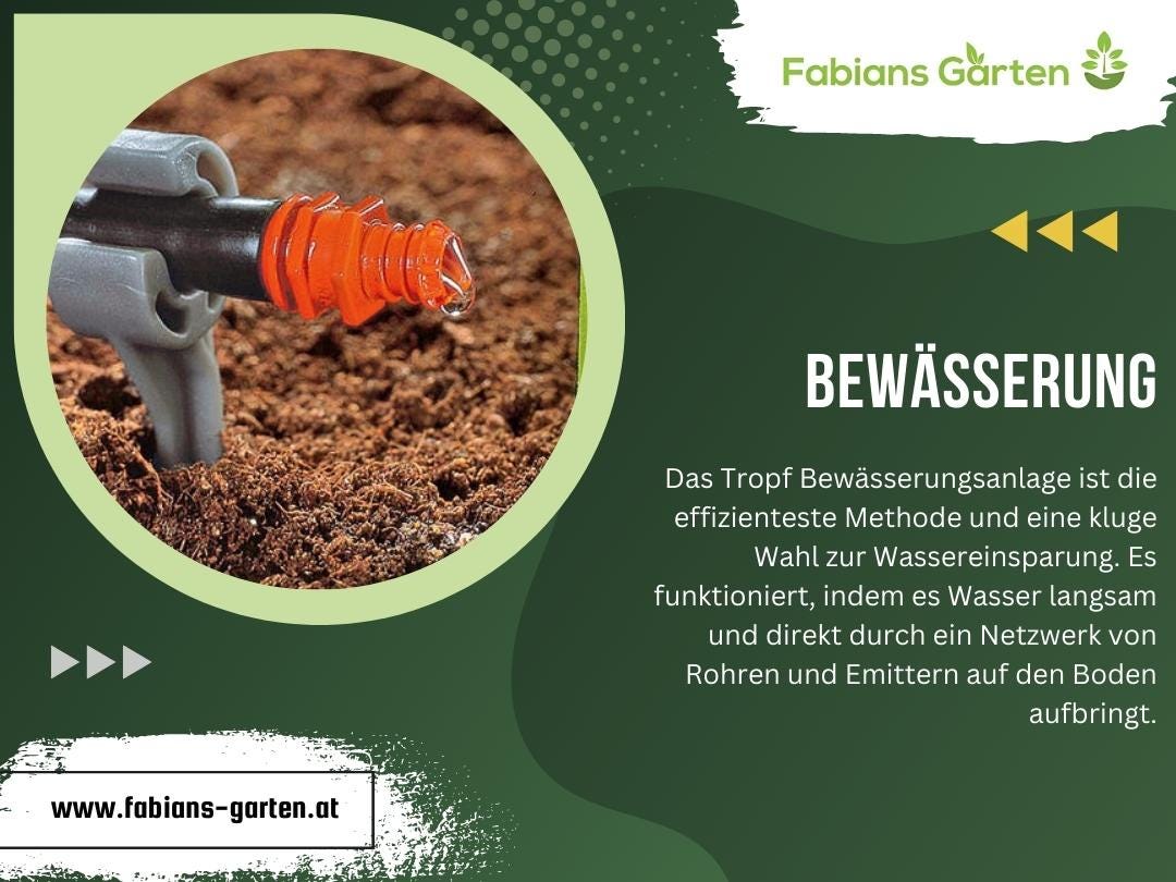 Kontaktiere uns Fabians Garten Medium