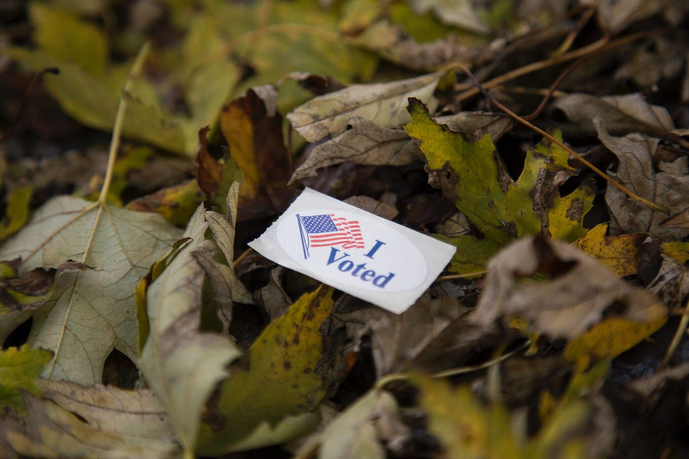 Avoid a F*ked up Election