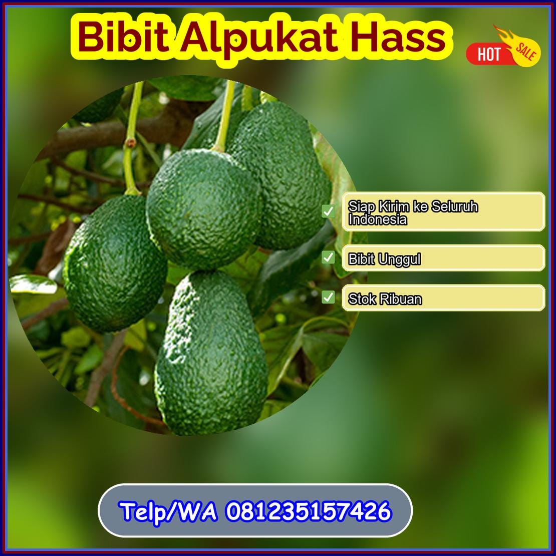 Bibit Strawberry California Bandung Ponorogo Terlengkap | by Marlino ...