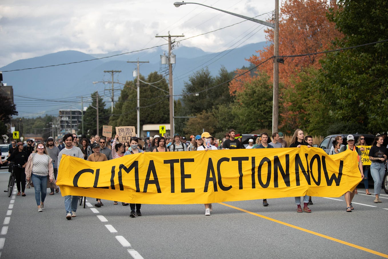 Is Voting Liberal Actually Strategic for the Climate? Not exactly…