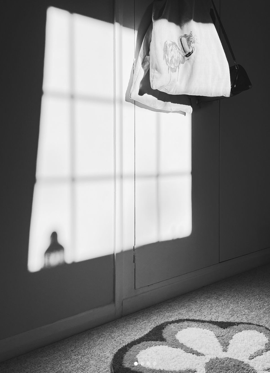 A study on Engawa: The Japanese Tradition and its Contemporary Revival ...