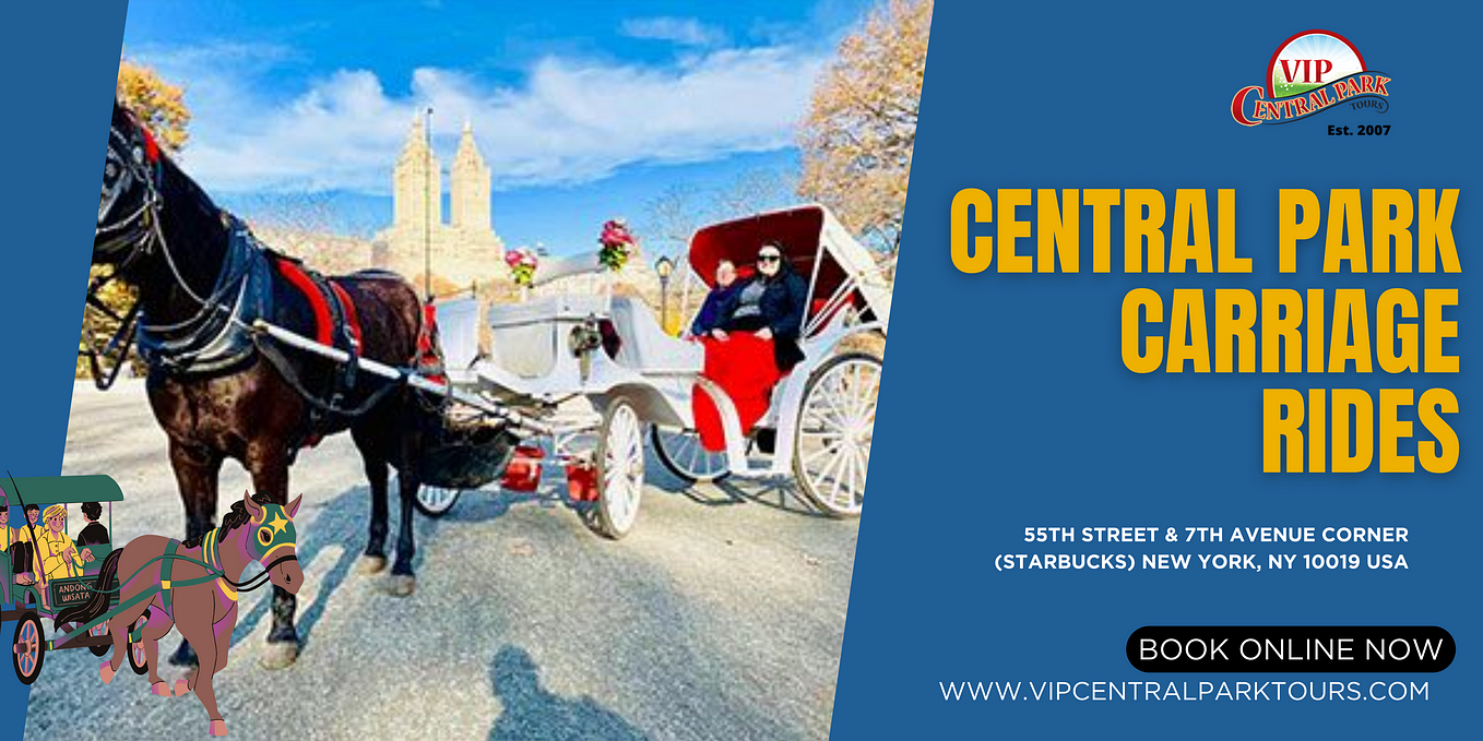 Bike Rental Central Park in USA - VIP Central Park Tours - Medium