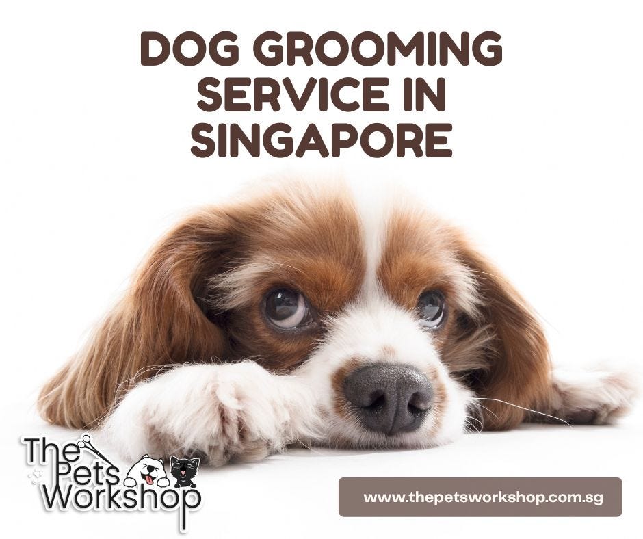 The Pets Pet Grooming with Transport in Singapore by Medium