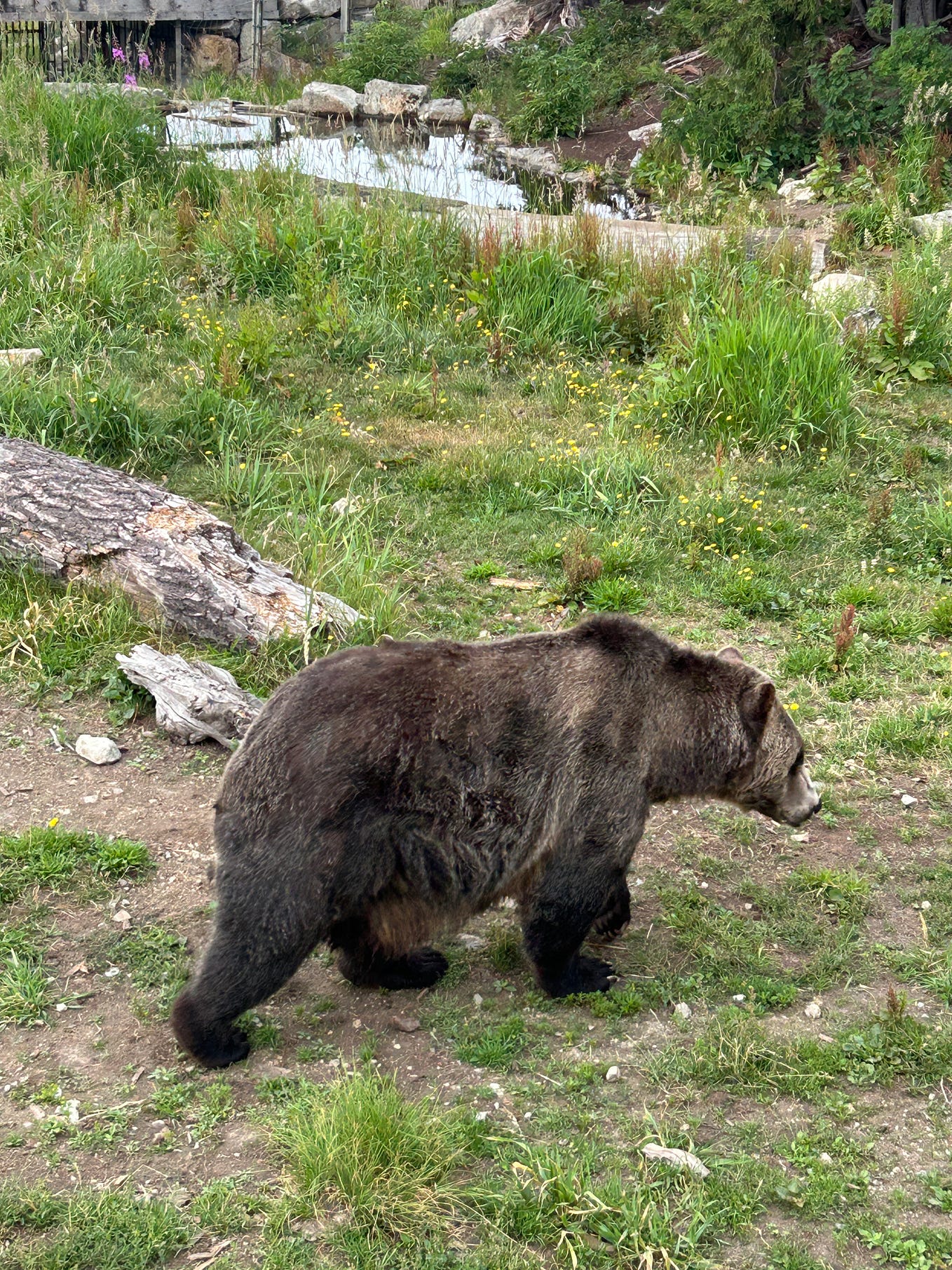 File descriptor leak — HandlerThread by Ansgar Lin Medium