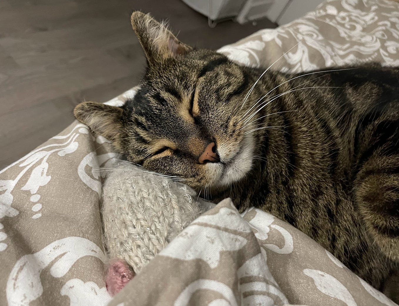 It’s Nearly Halloween — Where Does A Year Go? by Elisa Bird Our