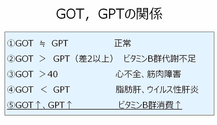 Amazon.co.jp: 分子栄養学 (栄養科学シリーズNEXT) : 宮本 賢一