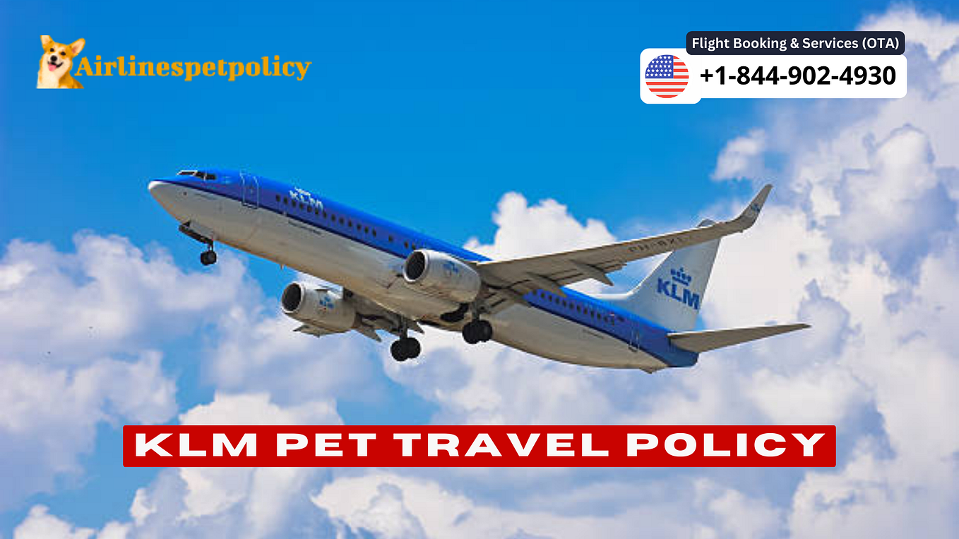What is the FareLock on United? 24hour Hold Policy by Airlines pet