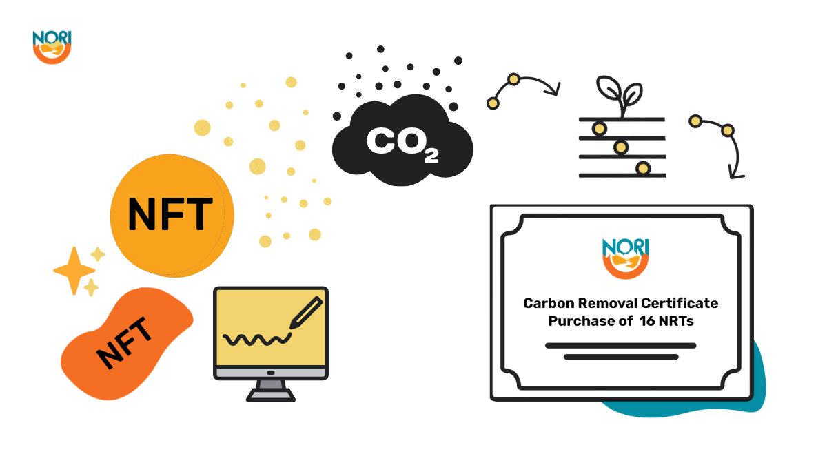 How to remove carbon emissions from NFTs