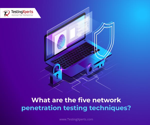 What are the five network penetration testing techniques?