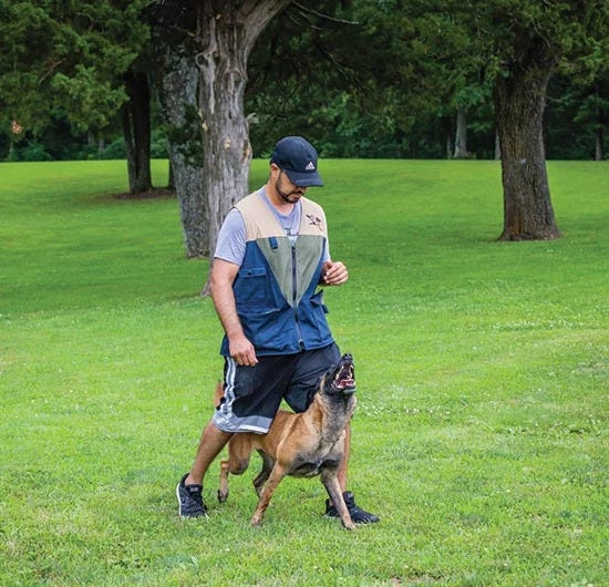 Ultimate K9 Training Ultimatektraining Medium