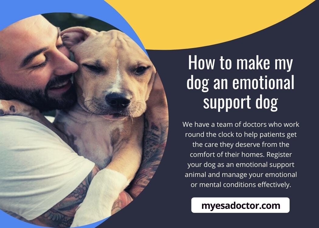 Register My Dog As An Emotional Support Animal by Myesadoctor Medium