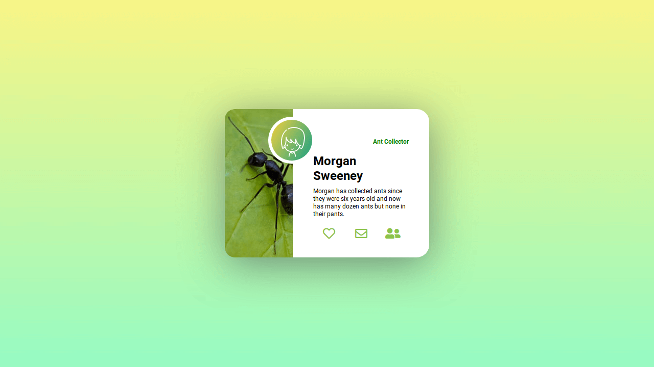 CSS Book Effects. Collection of free HTML and CSS book… | by ...