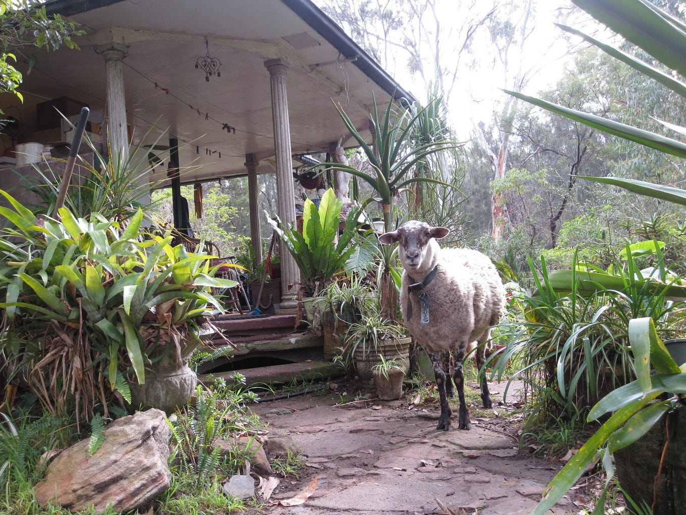 Novelty vs. Familiarity Where Is Your Marketing Sweet Spot? by Steve