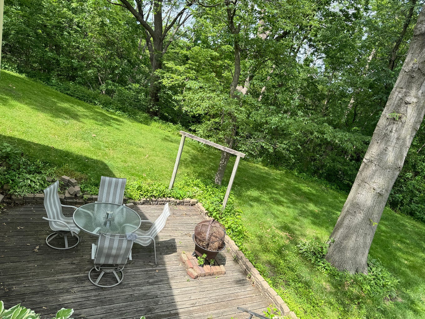 Thank you, JoAnn. Much better. Paul Gardner Medium