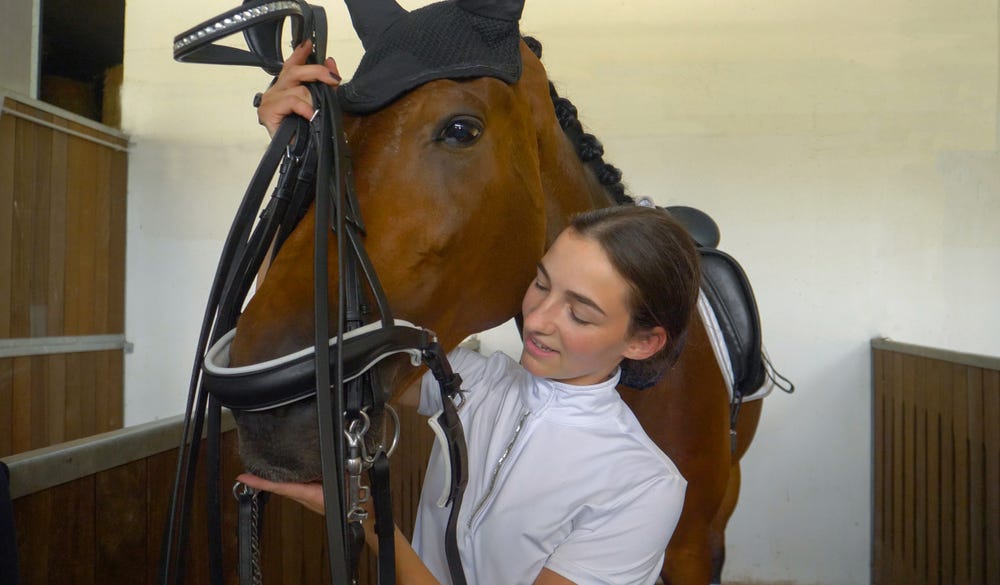 How to Keep Flies Off Horses. Introduction by Ranasaifullah Medium