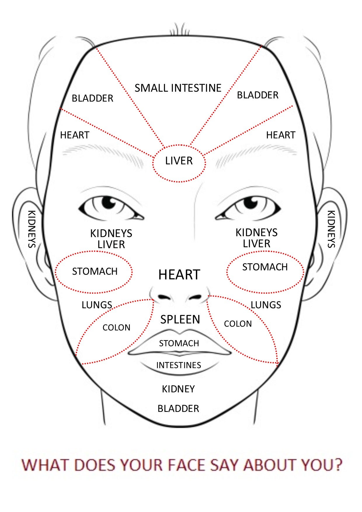 Holographic Theory and Chinese Medicine | by Lulu Yan | Medium