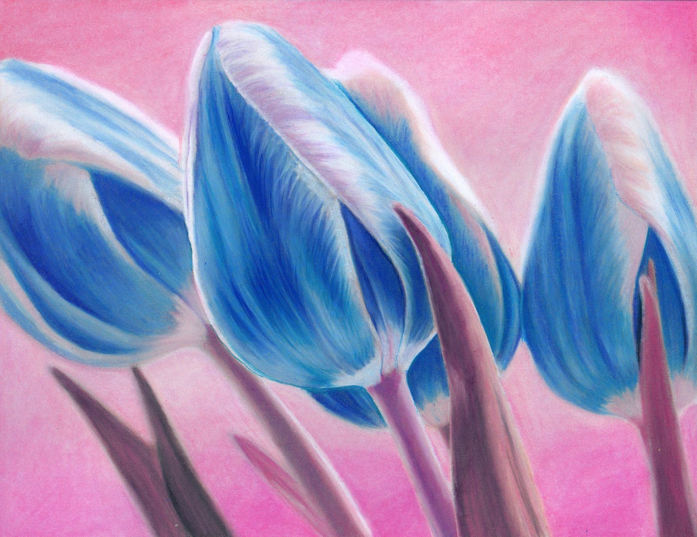 5 Essential Steps for Grayscale Coloring Success by Nicole Stocker