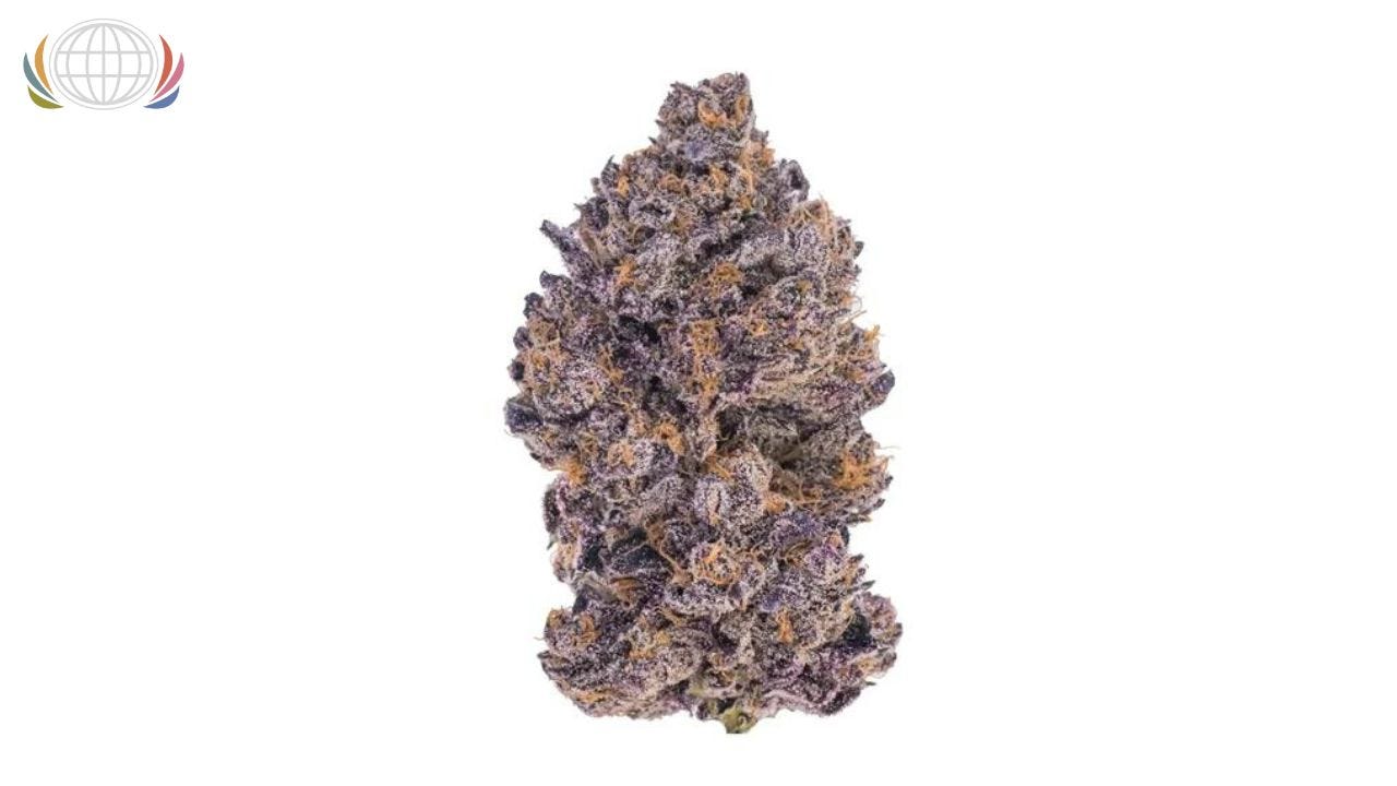 Embarc Fontana Dispensary: A Premier Destination for Cannabis