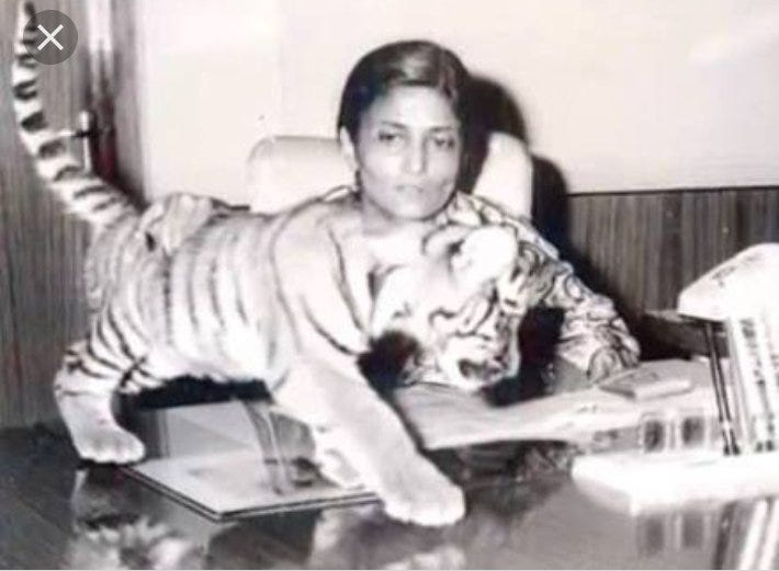 Khairi — an astounding tale of a tigress who loved humans