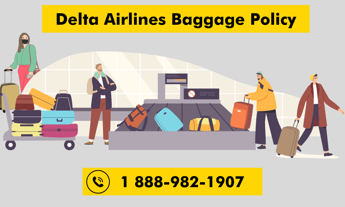American Airlines (AA) Baggage Policy How to Avoid American Airlines