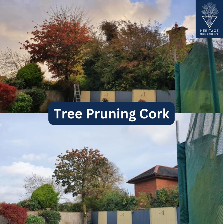 Tree Surgeons in West Cork Heritage Tree Care Ltd by Heritage Tree