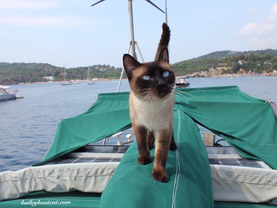 Leonard v. Texas, 580 US__ (2017), Statement of J. Thomas respecting