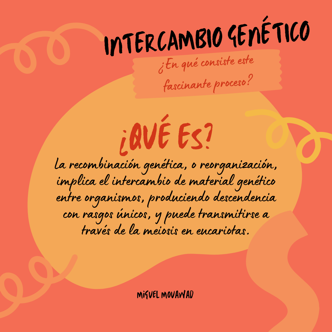 Miguel Mouawad El parentesco. Este es la relación que tenemos con los