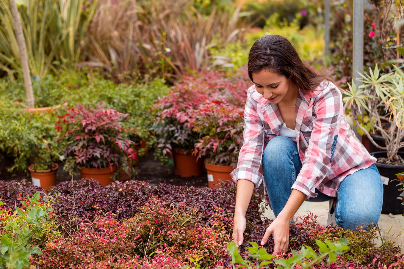 How To Make Plants Grow Faster and Bigger? 10 Actionable Ways To Boost