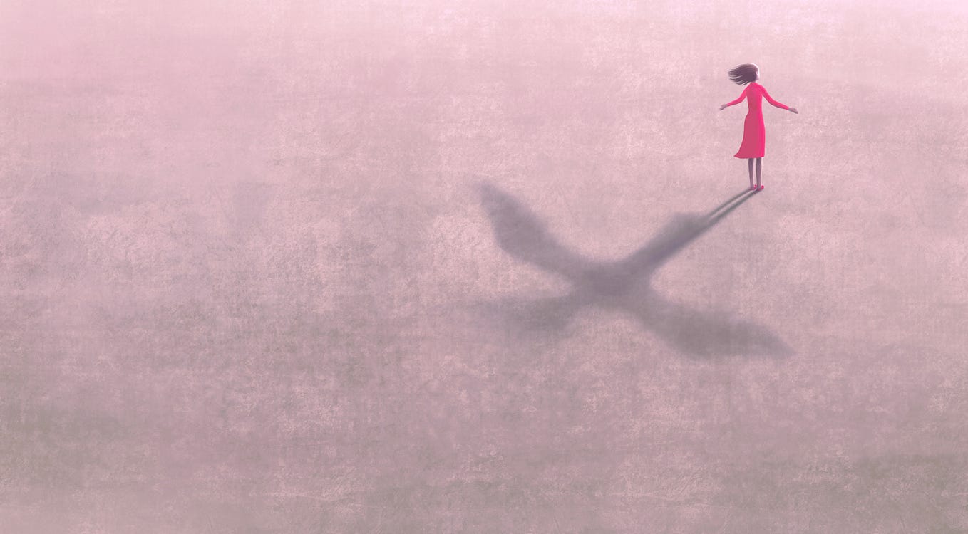 Illustration shows a woman in a pink dress with outstretched arms who has a shadow of a bird.