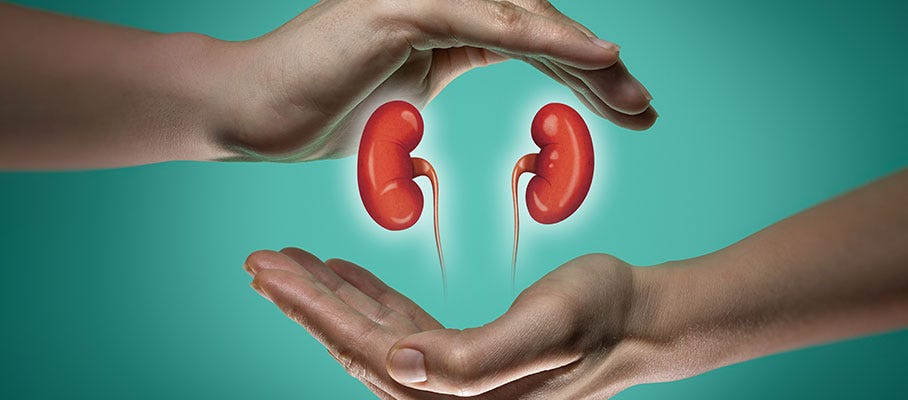 How to Improve Kidney Health