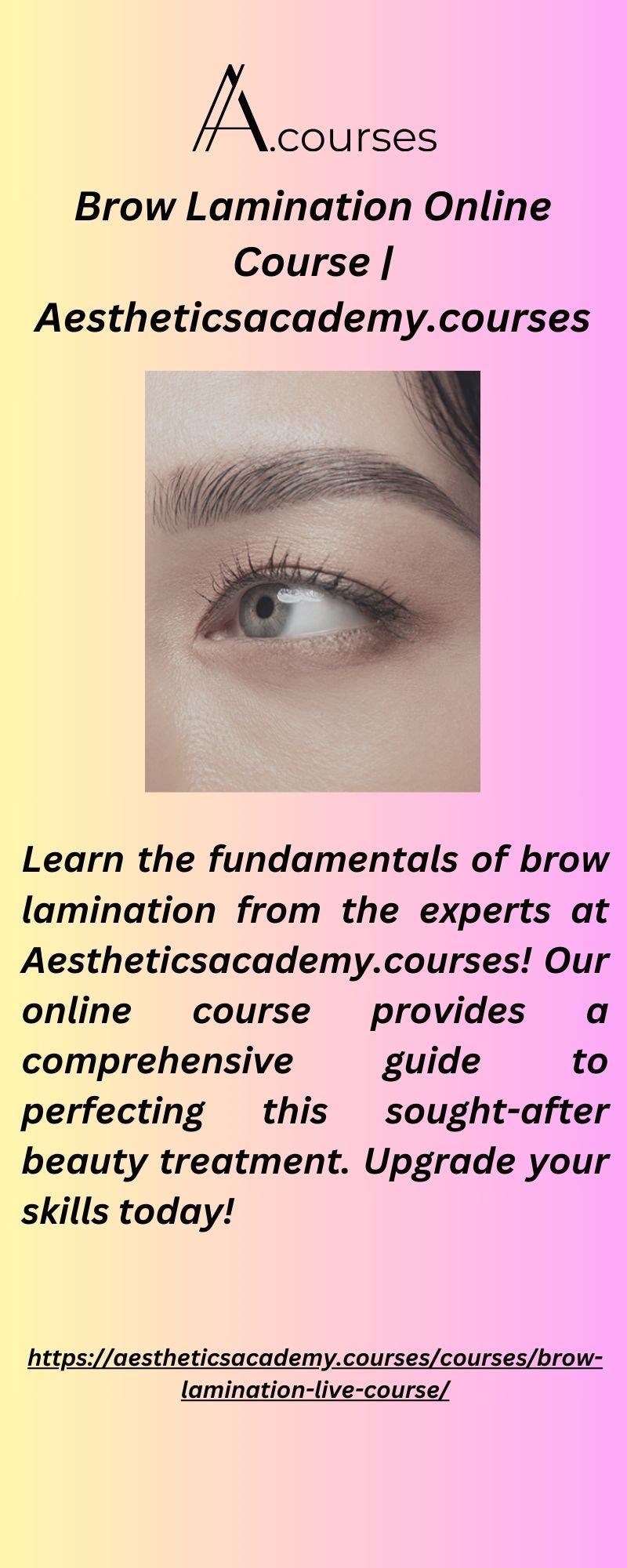 Brow Lamination Online Course Aestheticsacademy.courses
