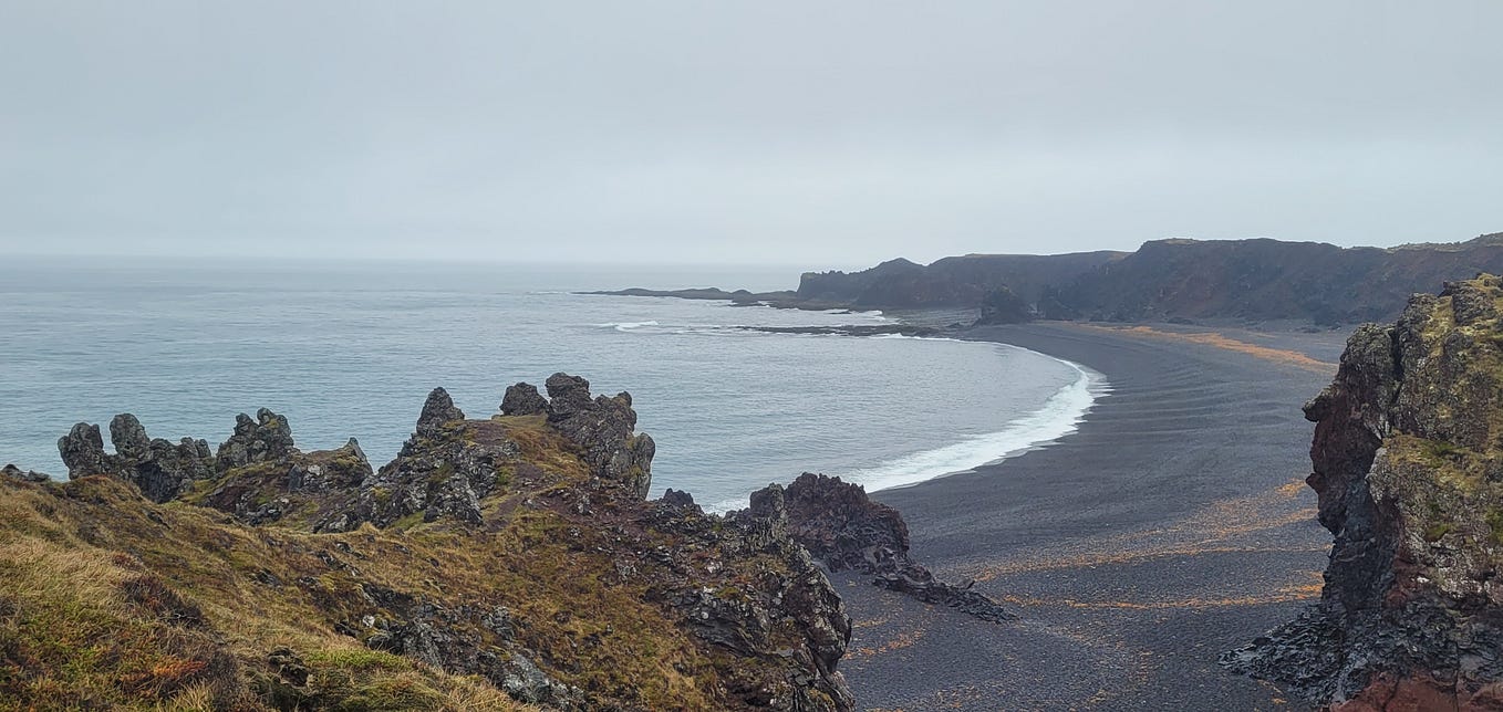 Nice objective reporting. Animal rescue centers and sanctuaries are