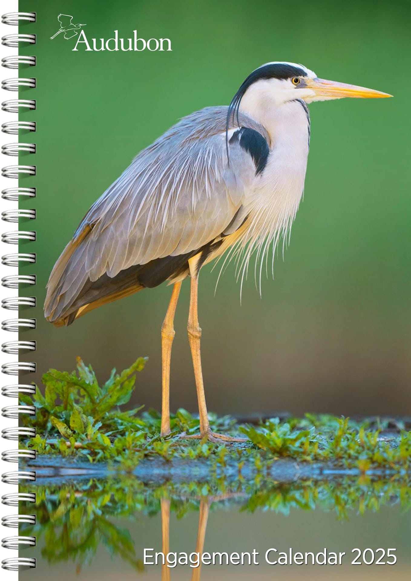 PDF Audubon Nature PageADay® Gallery Calendar 2025 FULL BOOK PDF