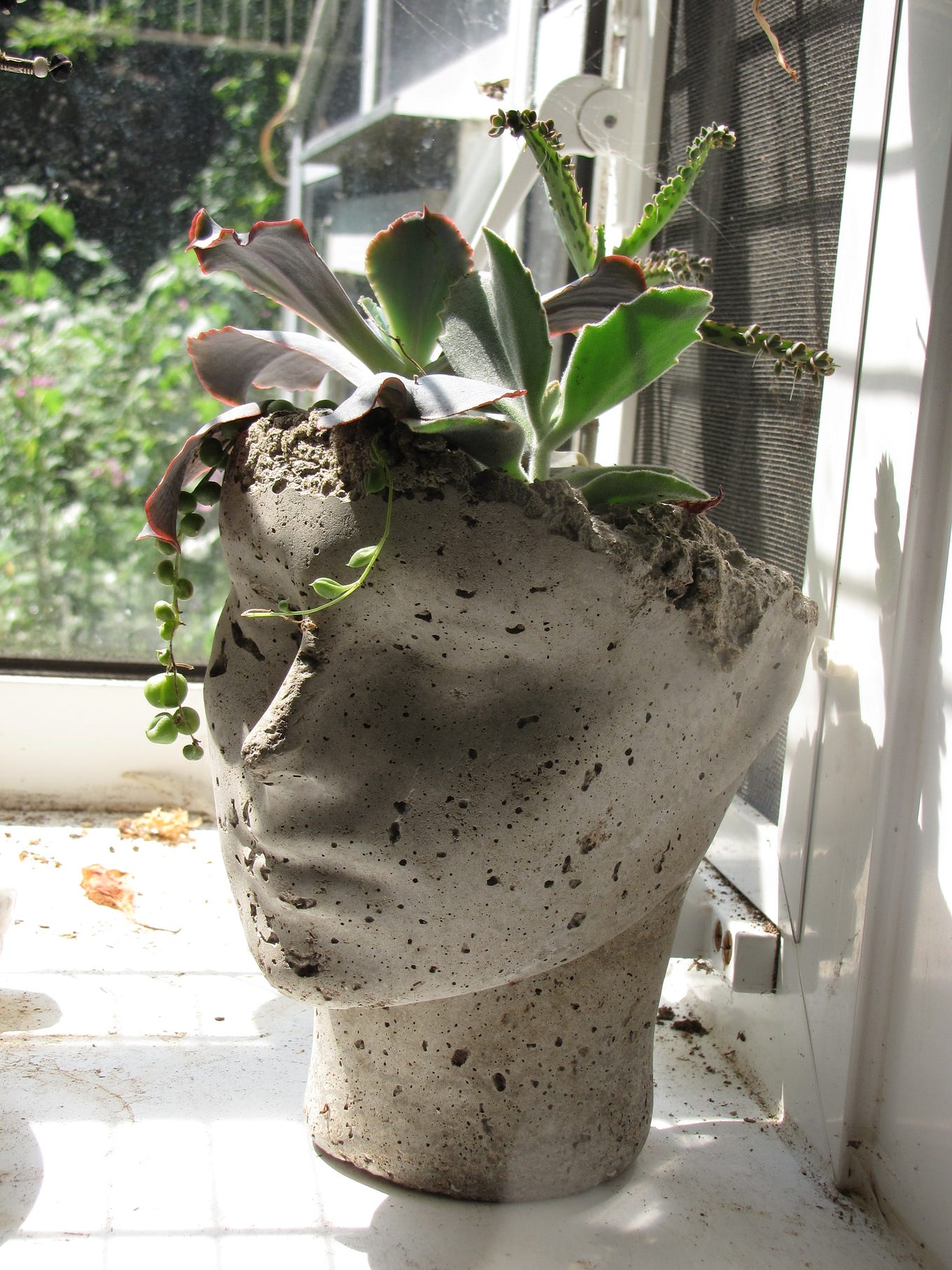 Helpful and inspiring. Marjorie Kinnen Rowlings tried and tried get