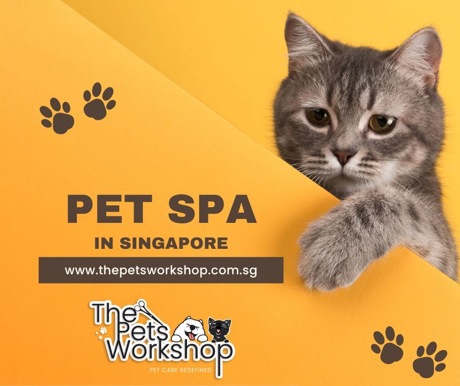 Dog grooming Salon in Singapore — The Pets by