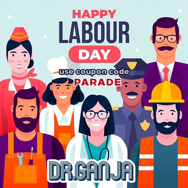 Happy Independence Day Coupon code FOURTH Sophiecoopere Medium