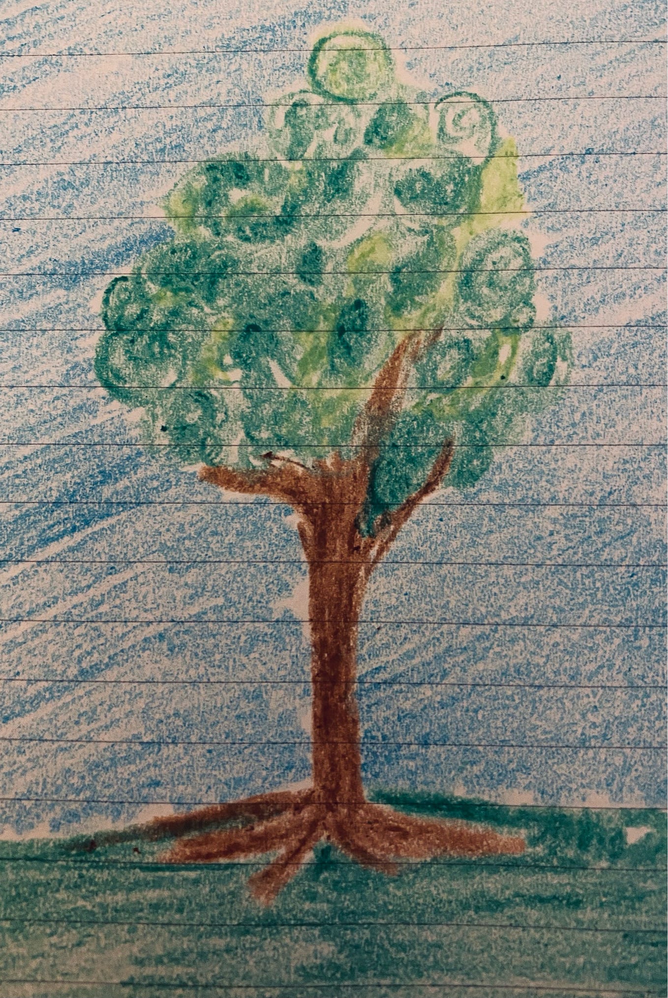 No, formally speaking he didn't but I can understand it. If I saw