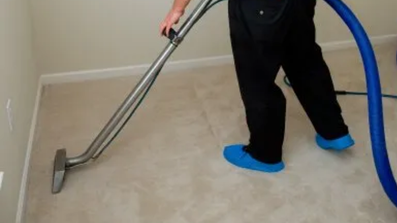 The Top 6 Ways To Get Pet Stains Out Of Carpet by Tru Blue Carpet