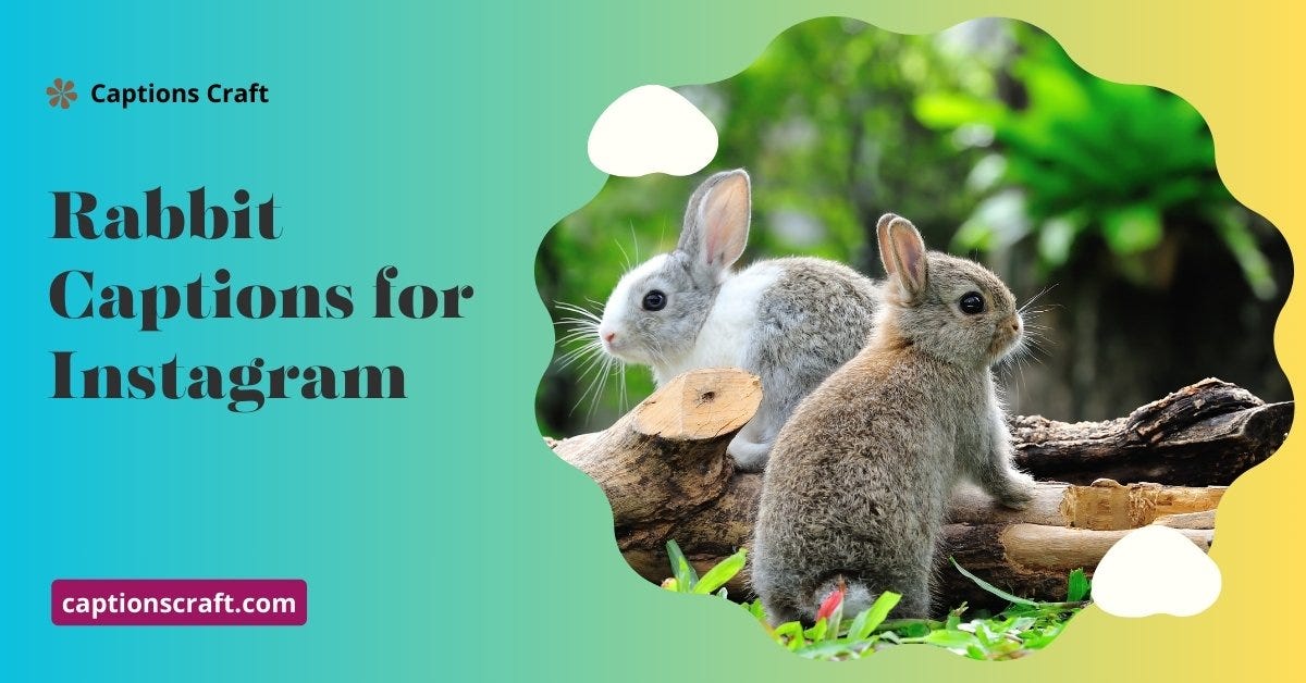 350+ Funny Hood Instagram Captions [2024] by Emma Grace Jan, 2024